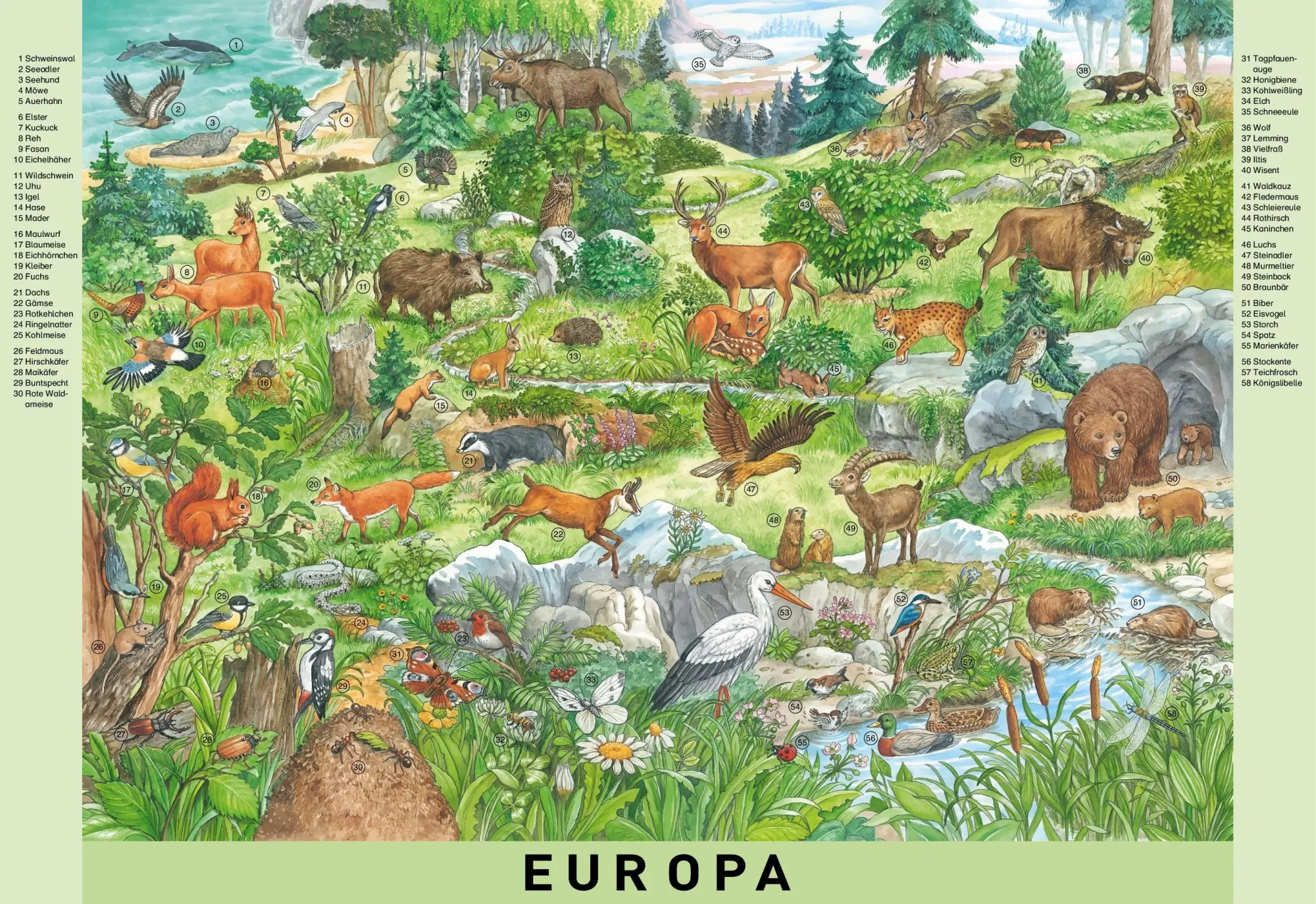 Bild: 9783849930448 | Mein großes Wimmelbuch Tiere der Welt | Anne Suess | Buch | 10 S.