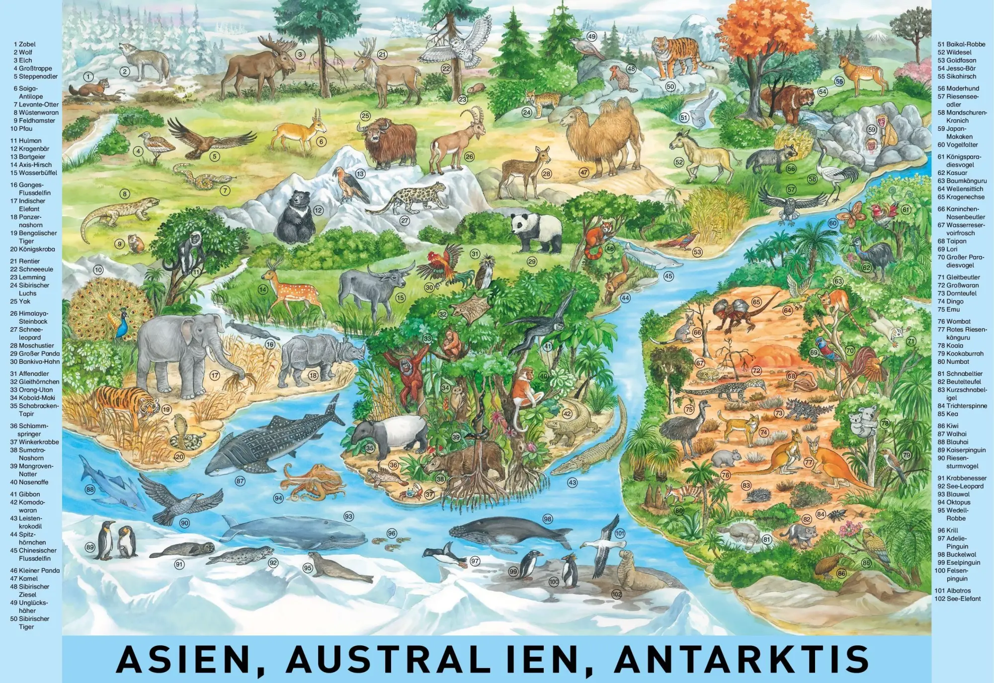 Bild: 9783849930448 | Mein großes Wimmelbuch Tiere der Welt | Anne Suess | Buch | 10 S.