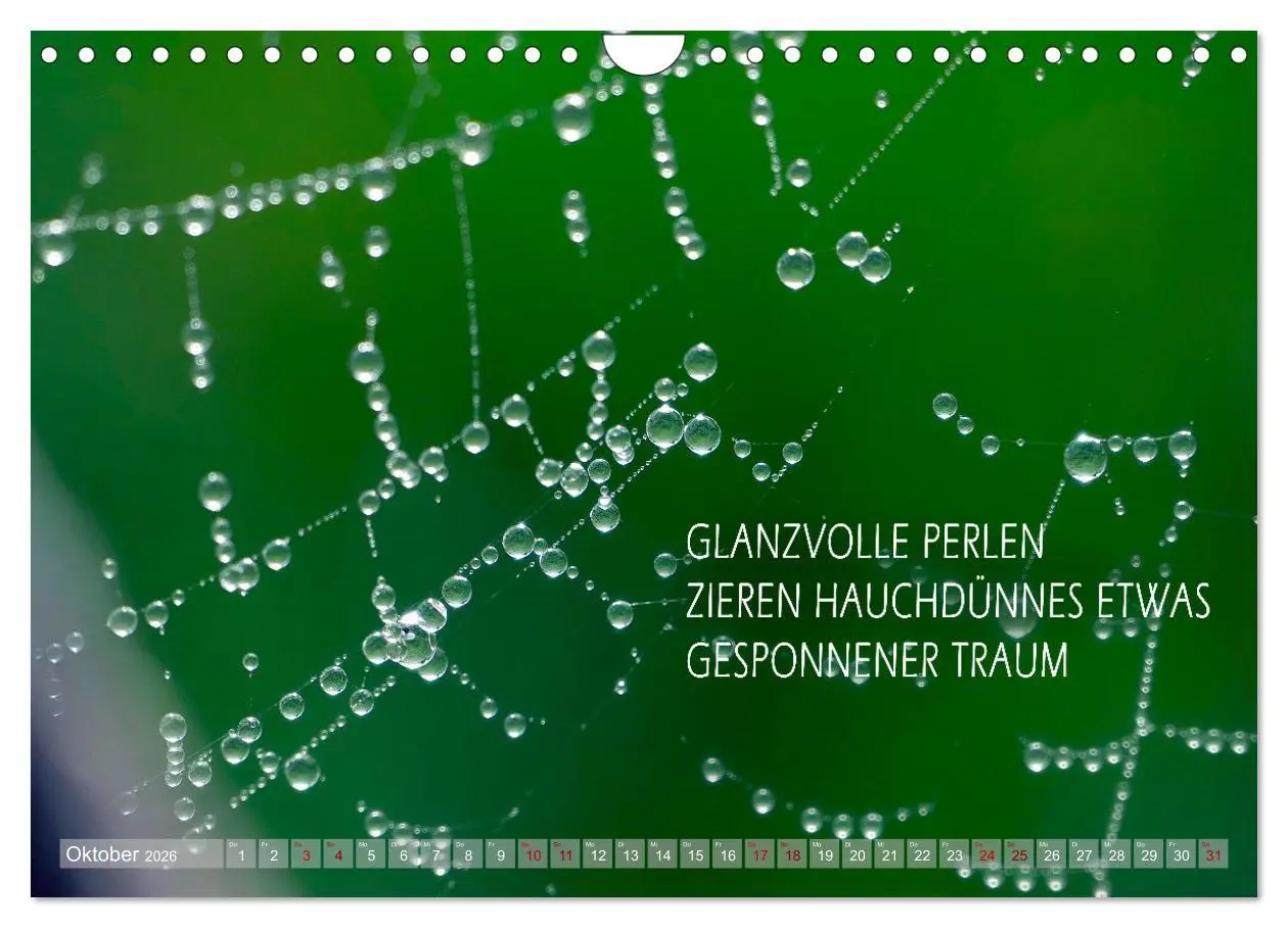 Bild: 9783457330548 | Haiku Poesie in Wort und Bild (Wandkalender 2026 DIN A4 quer),...