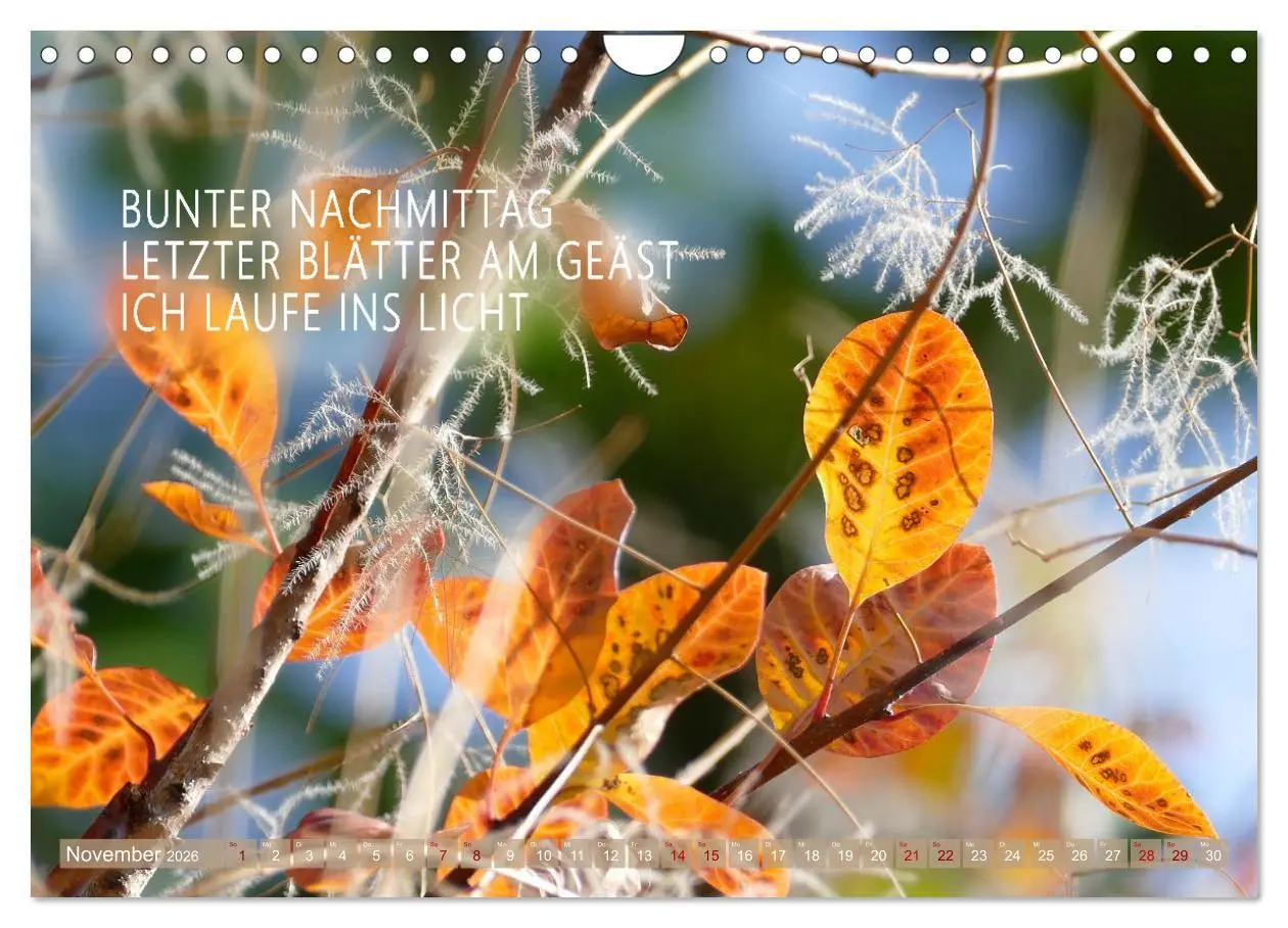 Bild: 9783457330548 | Haiku Poesie in Wort und Bild (Wandkalender 2026 DIN A4 quer),...