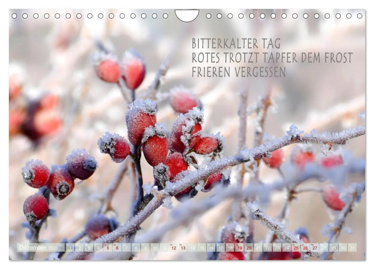 Bild: 9783457330548 | Haiku Poesie in Wort und Bild (Wandkalender 2026 DIN A4 quer),...