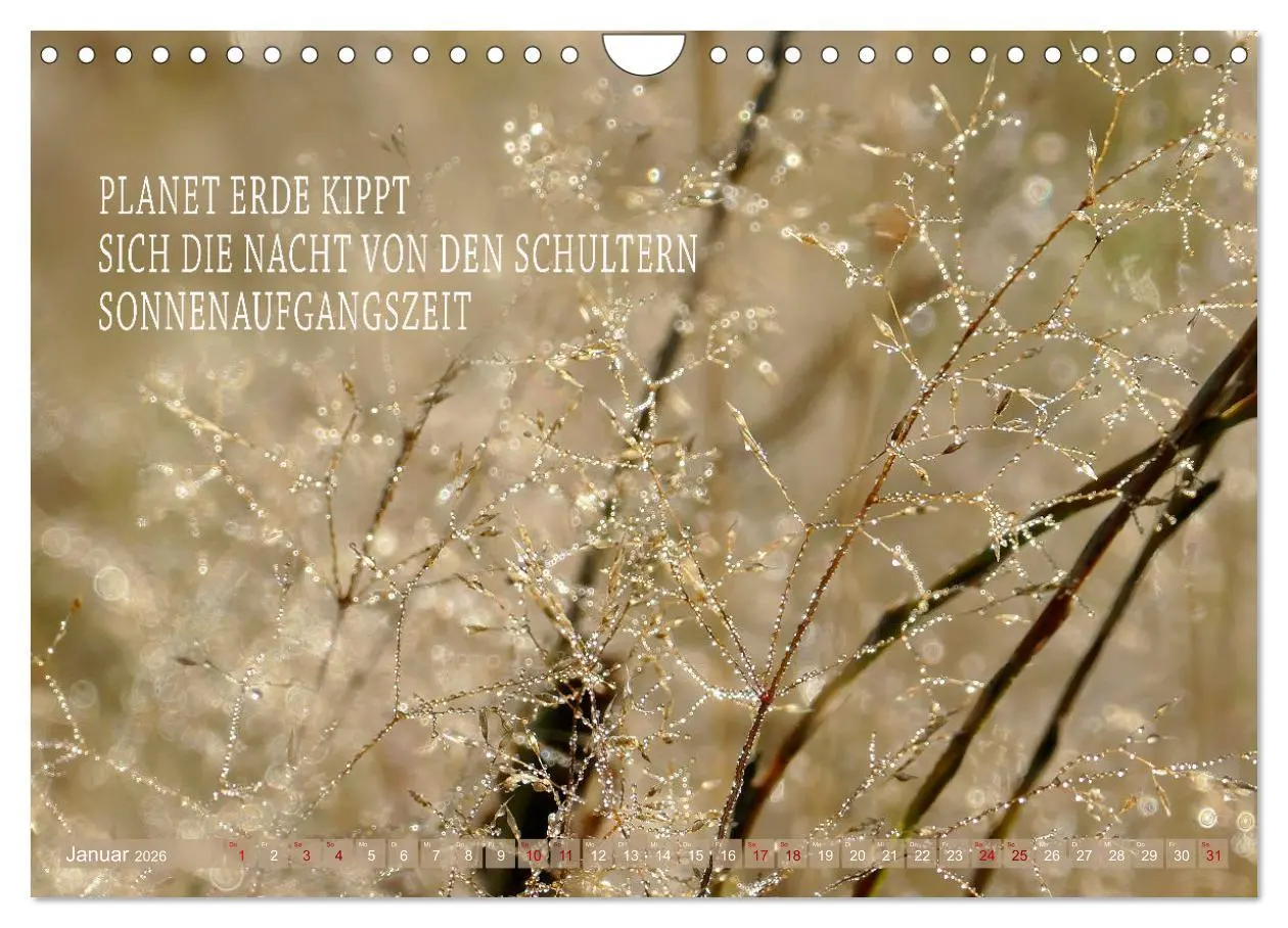 Bild: 9783457330548 | Haiku Poesie in Wort und Bild (Wandkalender 2026 DIN A4 quer),...