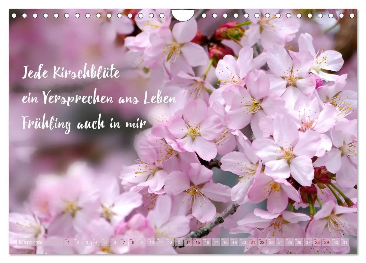 Bild: 9783457330548 | Haiku Poesie in Wort und Bild (Wandkalender 2026 DIN A4 quer),...