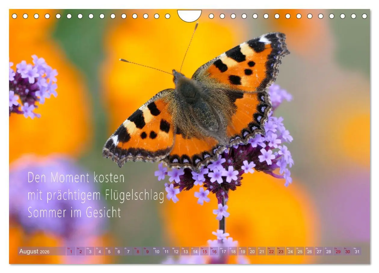 Bild: 9783457330548 | Haiku Poesie in Wort und Bild (Wandkalender 2026 DIN A4 quer),...