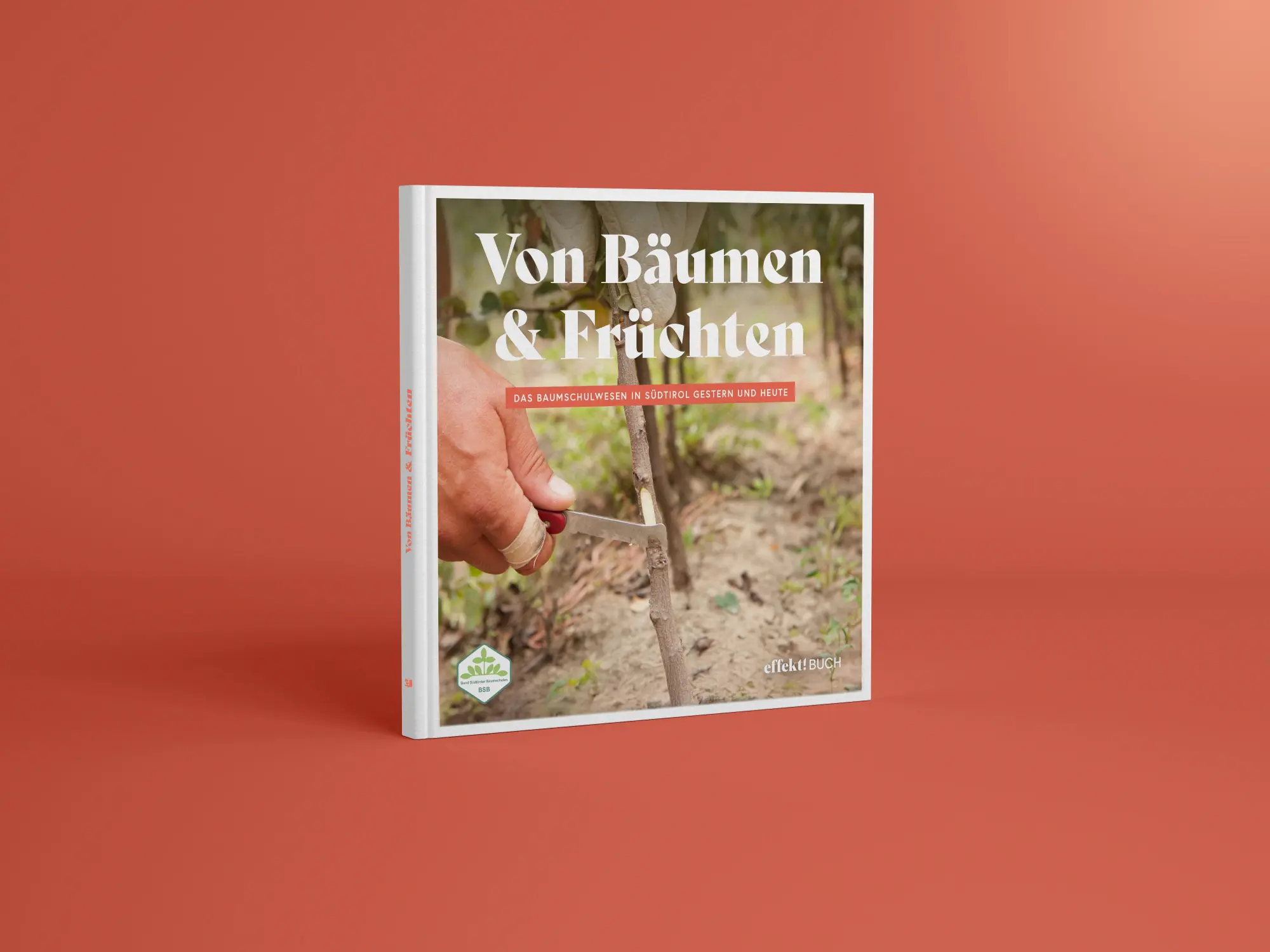 Cover: 9791255320548 | Von Bäumen und Früchten | Christian Andergassen (u. a.) | Buch | 2024