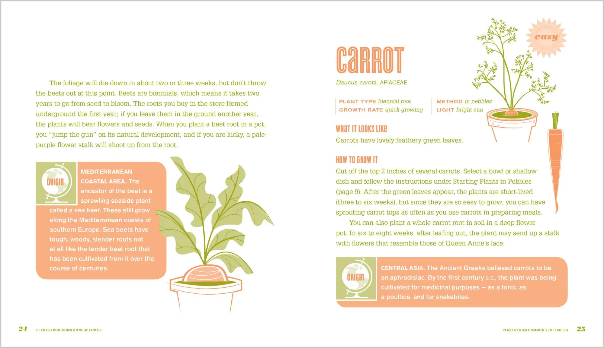 Bild: 9781603420648 | Don't Throw It, Grow It! | 68 Windowsill Plants from Kitchen Scraps