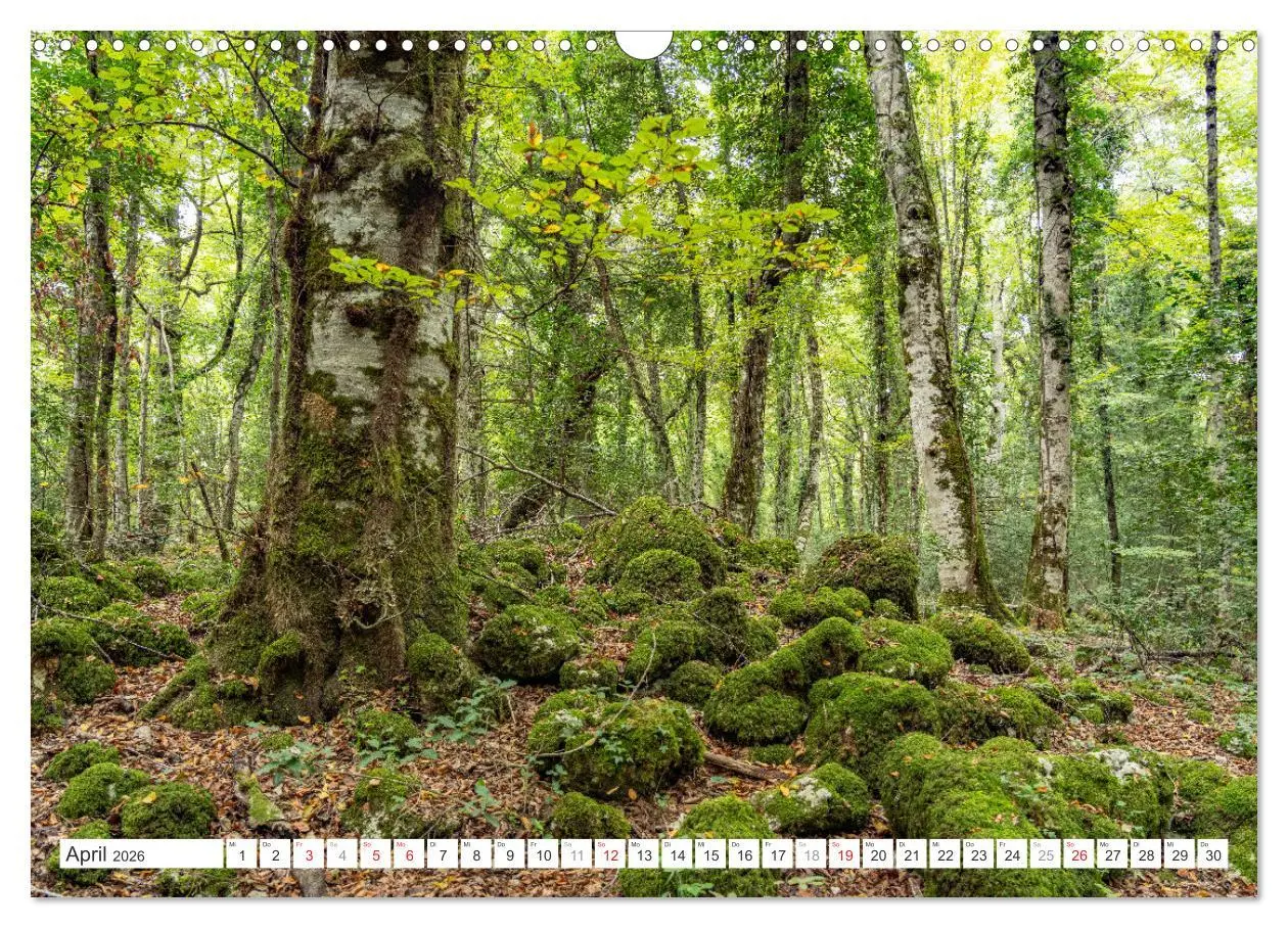 Bild: 9783457320648 | Italien - Apulien (Wandkalender 2026 DIN A3 quer), CALVENDO...