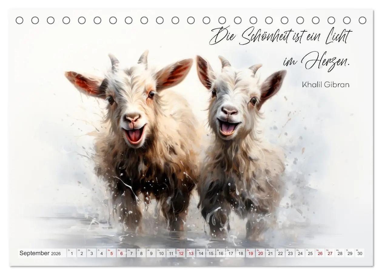 Bild: 9783457490648 | MOTIVATION Sprüche mit süßen Tierkindern (Tischkalender 2026 DIN A5...