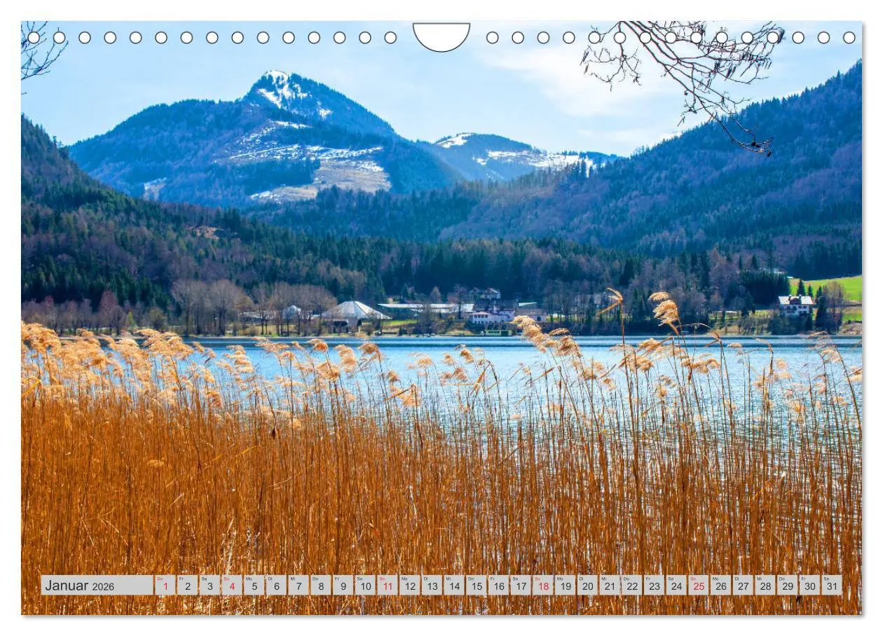 Bild: 9783457700648 | Rund um den Fuschlsee (Wandkalender 2026 DIN A4 quer), CALVENDO...