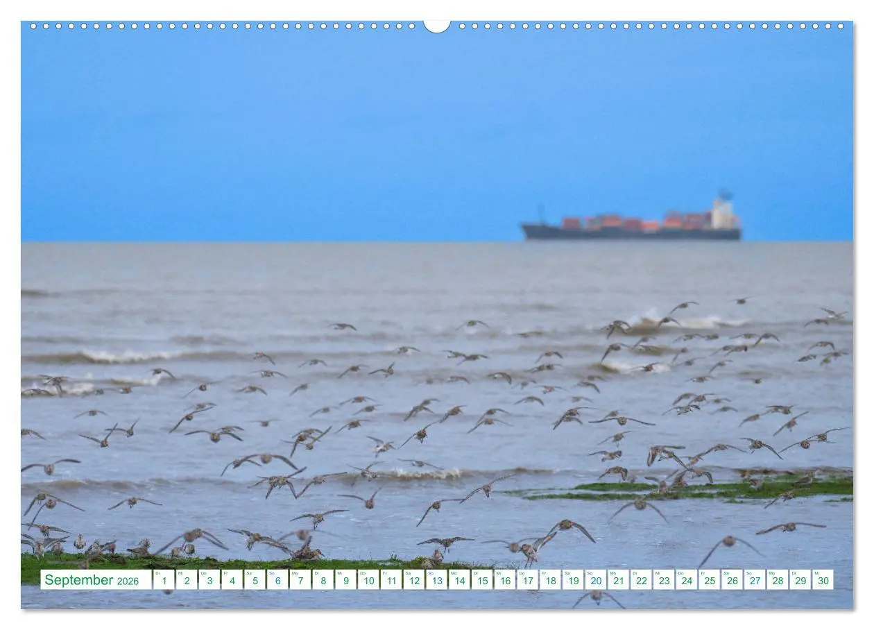 Bild: 9783457480748 | Schillig und Horumersiel - Im Wangerland unterwegs (hochwertiger...