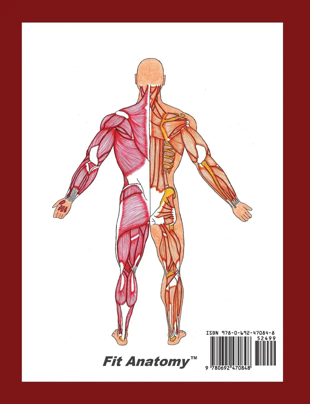 Rückseite: 9780692470848 | Muscles And Their Exercises | Mark Meissner | Taschenbuch | Englisch