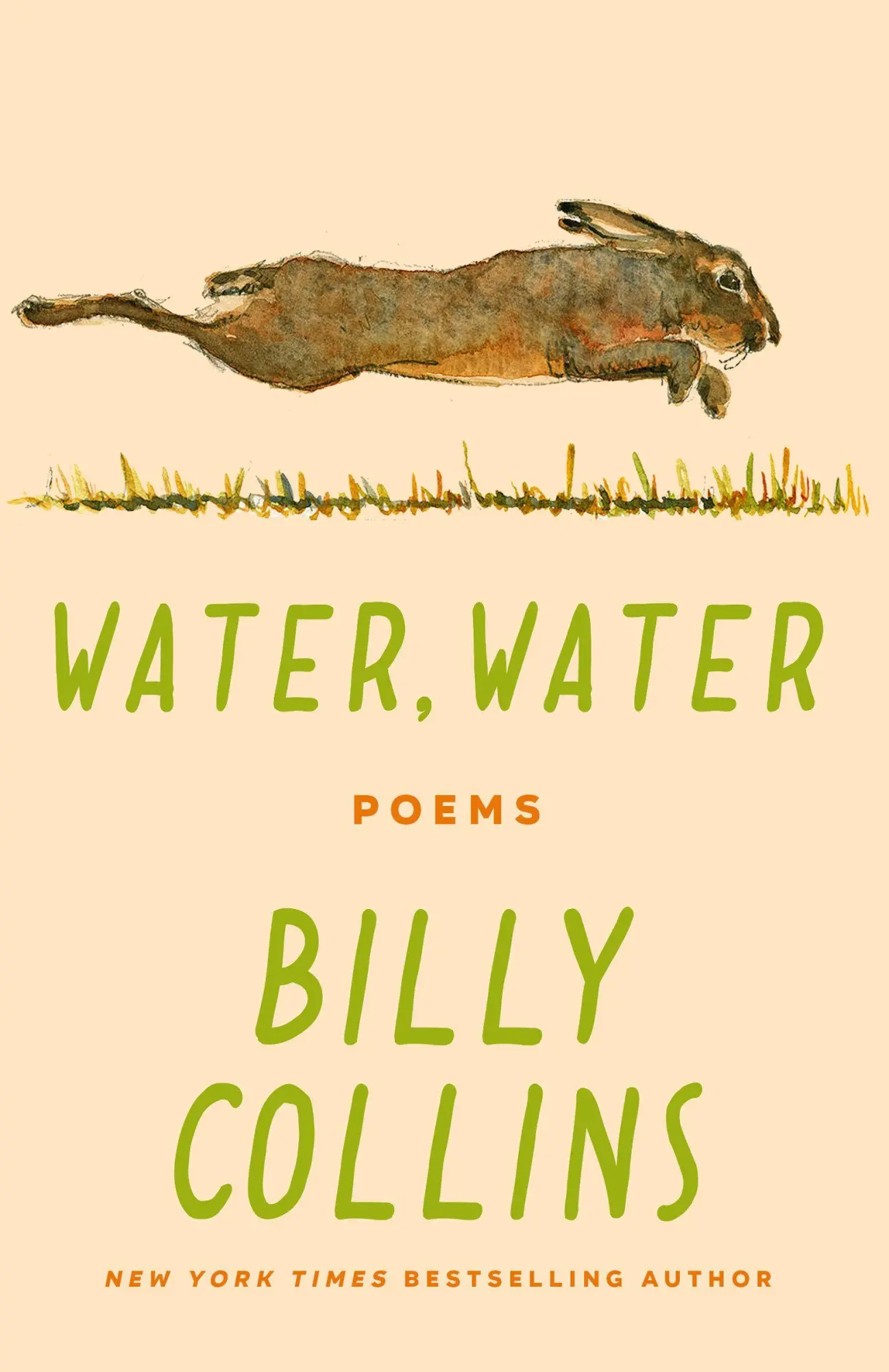 Cover: 9780593731048 | Water, Water | Poems | Billy Collins | Taschenbuch | Englisch | 2025