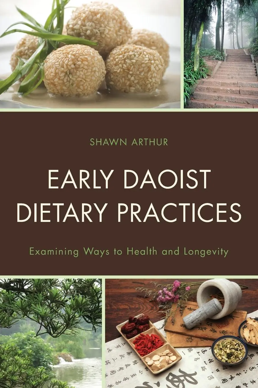 Cover: 9781498521048 | Early Daoist Dietary Practices | Shawn Arthur | Taschenbuch | Englisch