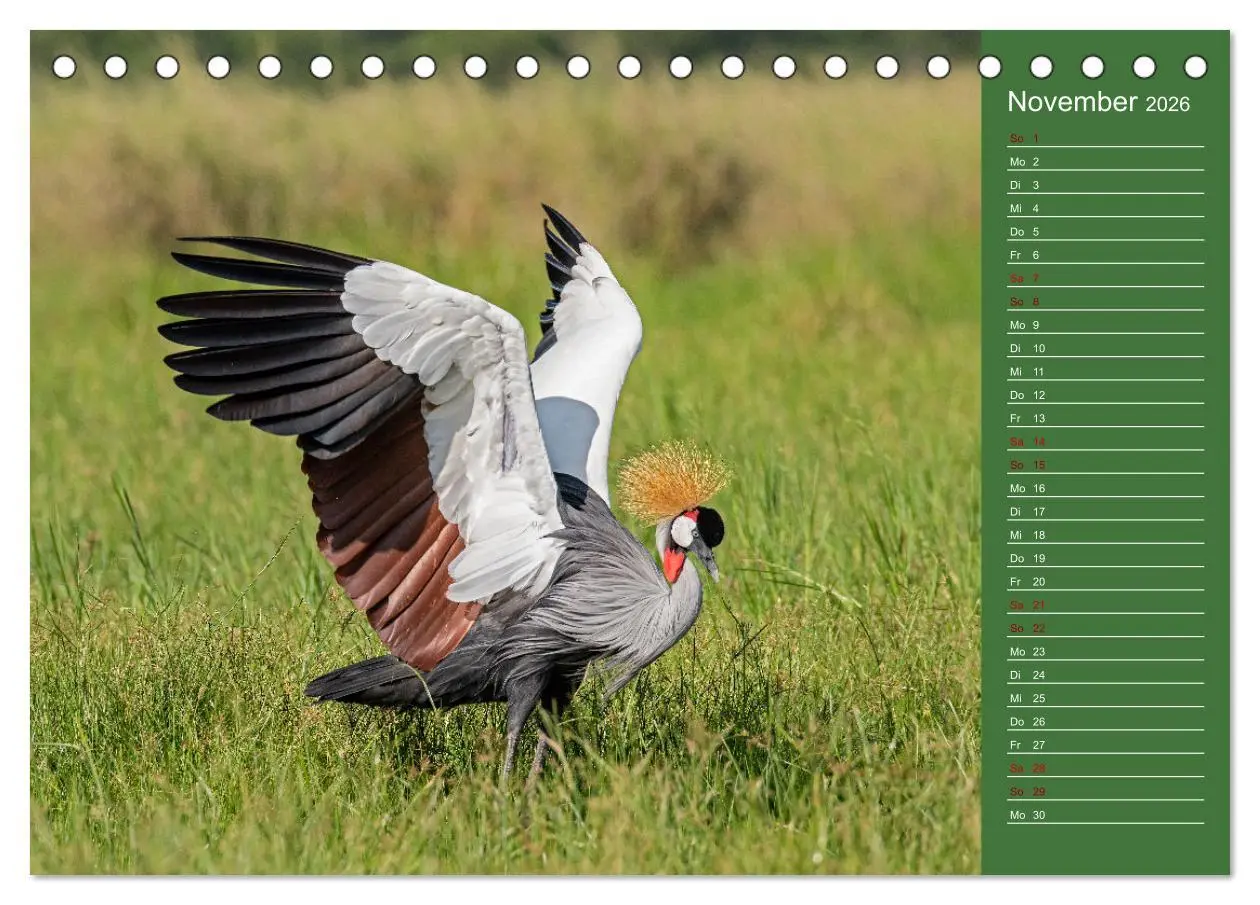 Bild: 9783457591048 | UGANDA - Perle Afrikas (Tischkalender 2026 DIN A5 quer), CALVENDO...