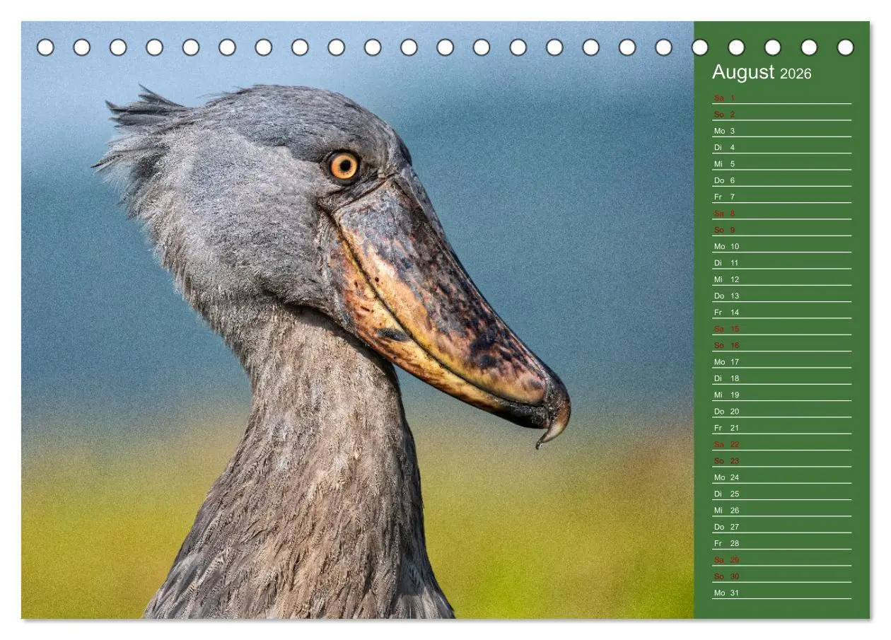 Bild: 9783457591048 | UGANDA - Perle Afrikas (Tischkalender 2026 DIN A5 quer), CALVENDO...