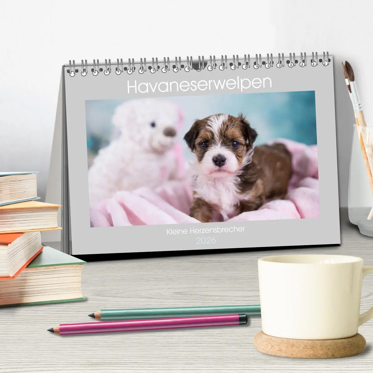 Bild: 9783457731048 | Havaneserwelpen - Kleine Herzensbrecher (Tischkalender 2026 DIN A5...