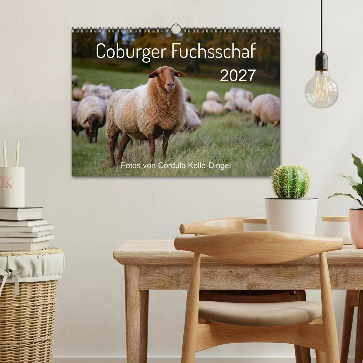 Bild: 9783569601048 | Coburger Fuchsschaf (Wandkalender 2027 DIN A3 quer), CALVENDO...
