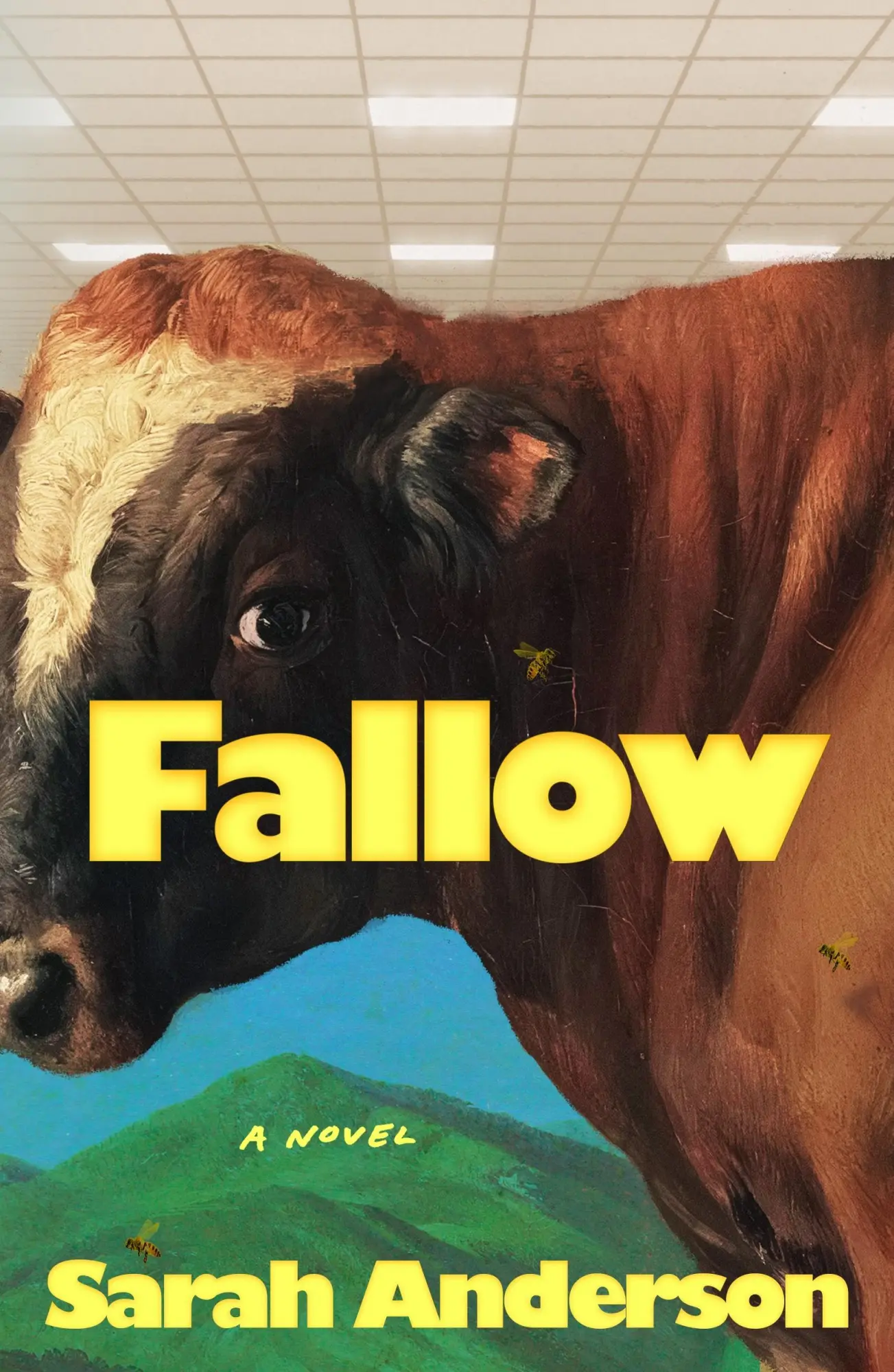 Cover: 9780374621148 | Fallow | A Novel | Sarah Anderson | Buch | Gebunden | Englisch | 2026