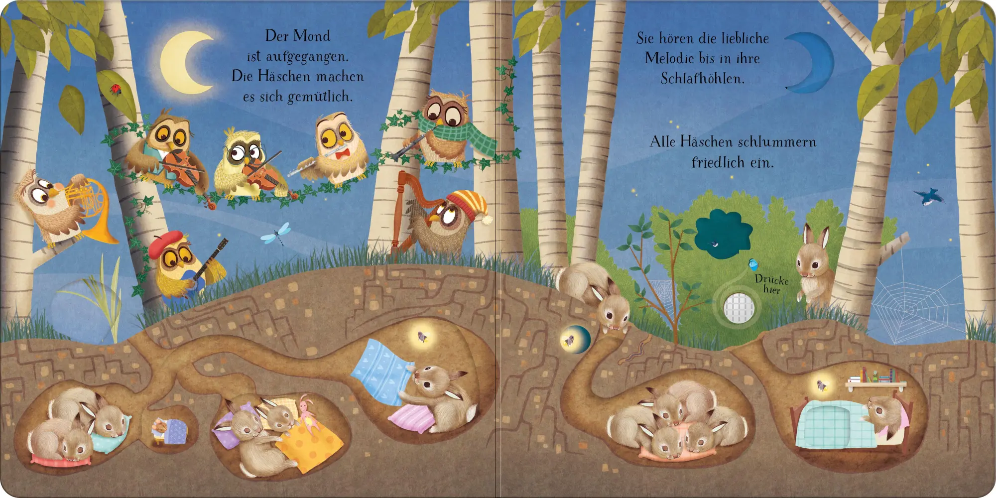Bild: 9781035701148 | Einschlafen mit dem Eulen-Orchester | Sam Taplin | Buch | 10 S. | 2024