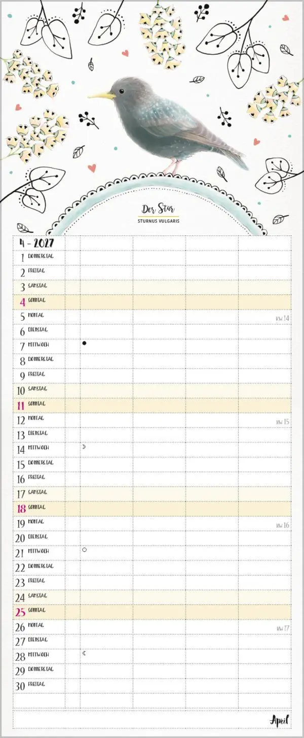 Bild: 9783819301148 | Familienplaner Pretty Birds 2027 | Verlag Korsch | Kalender | 14 S.