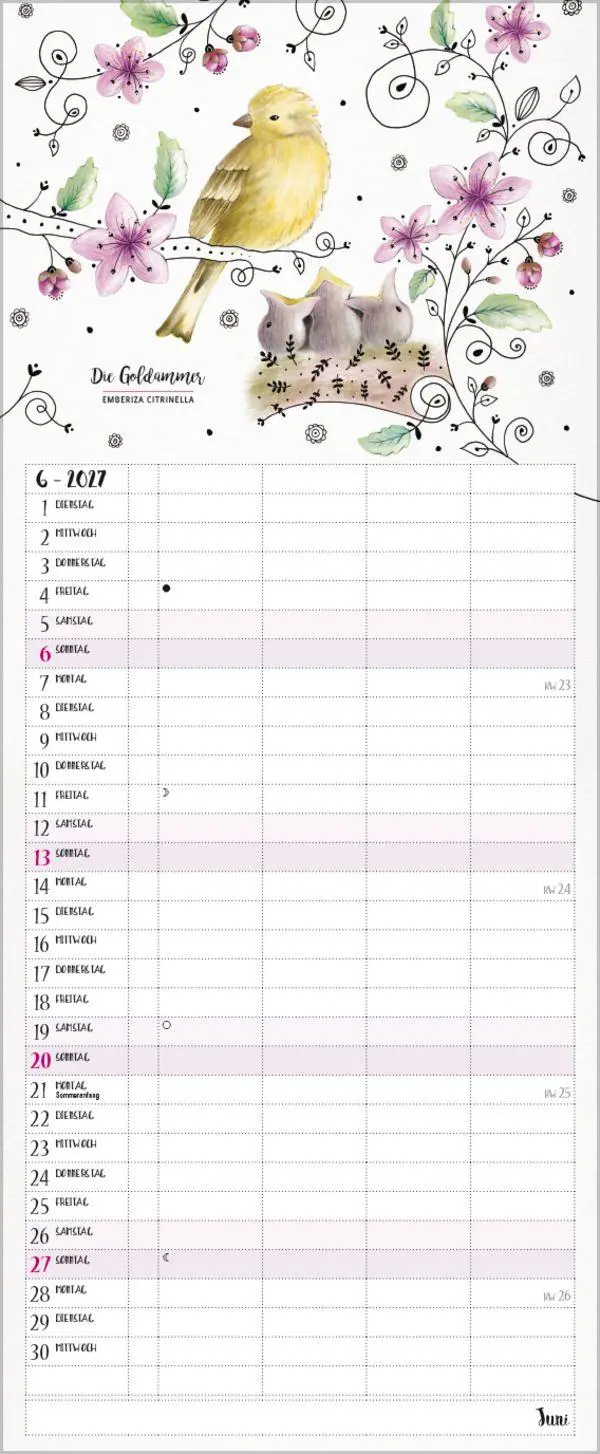Bild: 9783819301148 | Familienplaner Pretty Birds 2027 | Verlag Korsch | Kalender | 14 S.