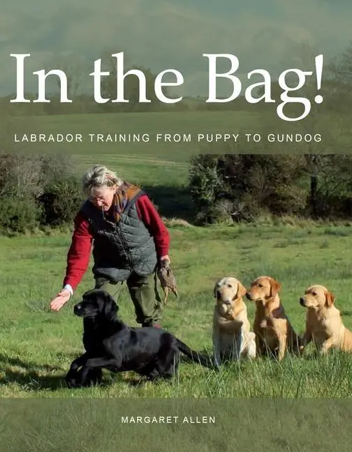 Cover: 9780719841248 | In the Bag | Labrador Training | Margaret Allen | Taschenbuch | 2023