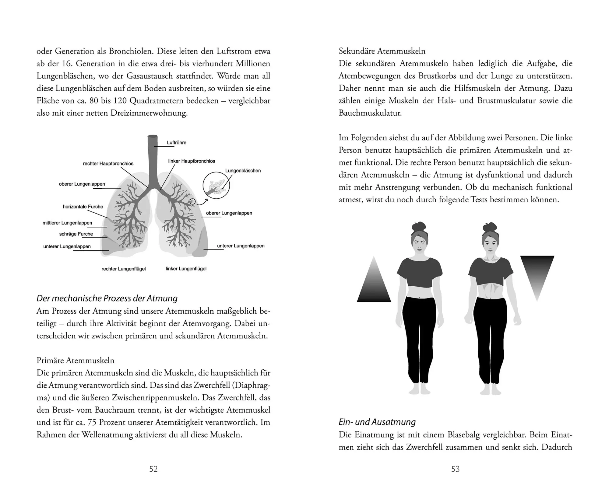 Bild: 9783451601248 | Breathwork | Johanna Lehmann | Taschenbuch | 288 S. | Deutsch | 2024