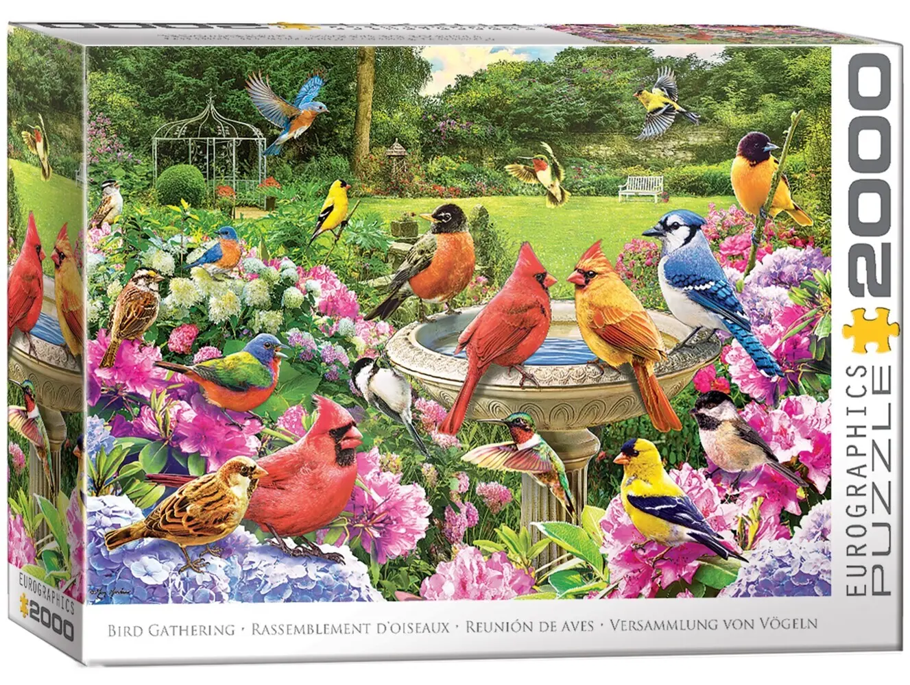 Cover: 628136661348 | Gartenvögel Treffen | Spiel | In Spielebox | 8220-6134 | Deutsch