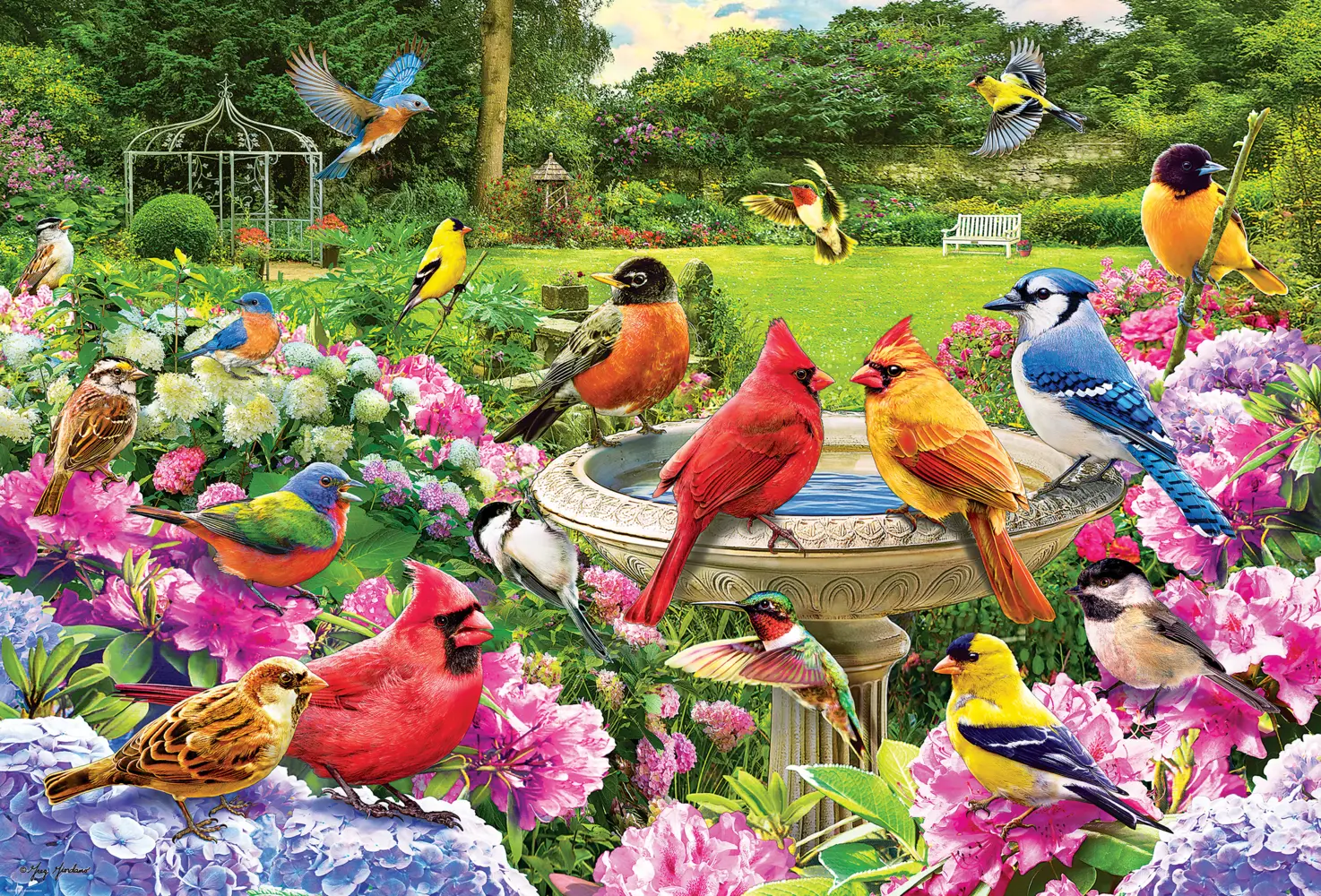 Bild: 628136661348 | Gartenvögel Treffen | Spiel | In Spielebox | 8220-6134 | Deutsch