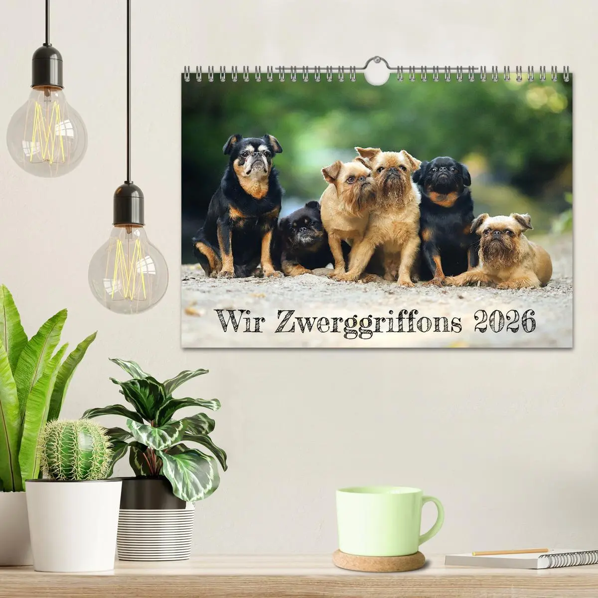 Bild: 9783457561348 | Wir Zwerggriffons 2026 (Wandkalender 2026 DIN A4 quer), CALVENDO...