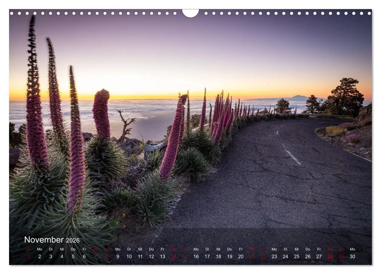 Bild: 9783457631348 | La Palma - La Isla Bonita (Wandkalender 2026 DIN A3 quer), CALVENDO...