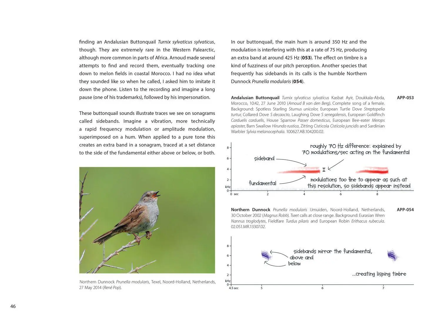 Bild: 9780008831448 | XSOUND APPROACH TO BIRDING HB | Mark Constantine (u. a.) | Buch | 2026