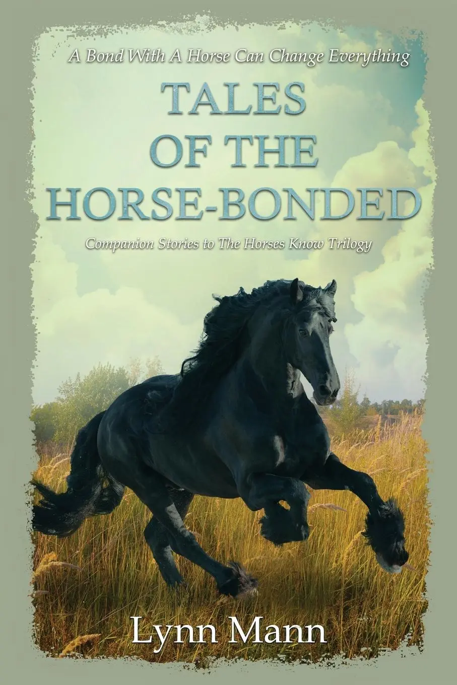 Cover: 9781739831448 | Tales Of The Horse-Bonded | Lynn Mann | Taschenbuch | Englisch | 2022