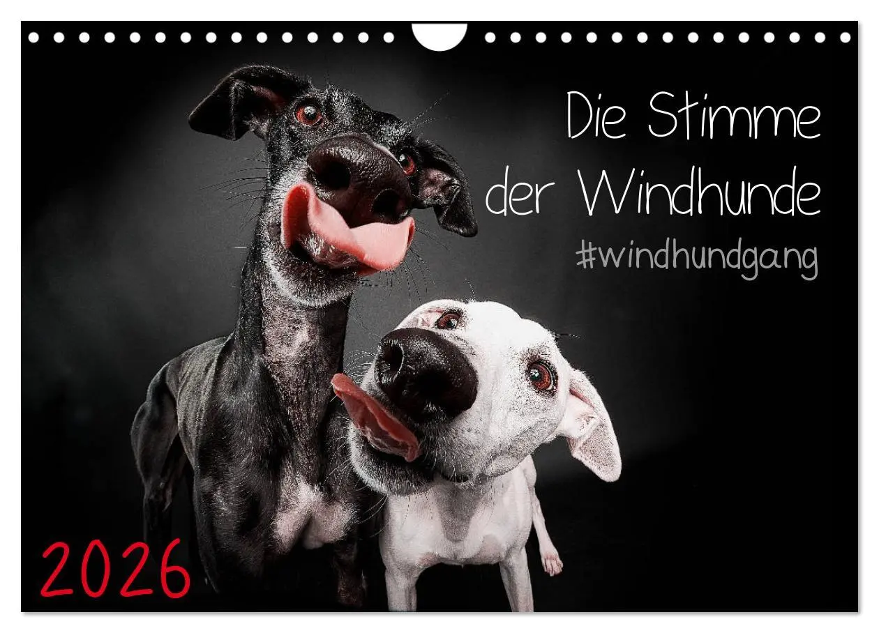 Cover: 9783457791448 | Die Stimme der Windhunde (Wandkalender 2026 DIN A4 quer), CALVENDO...