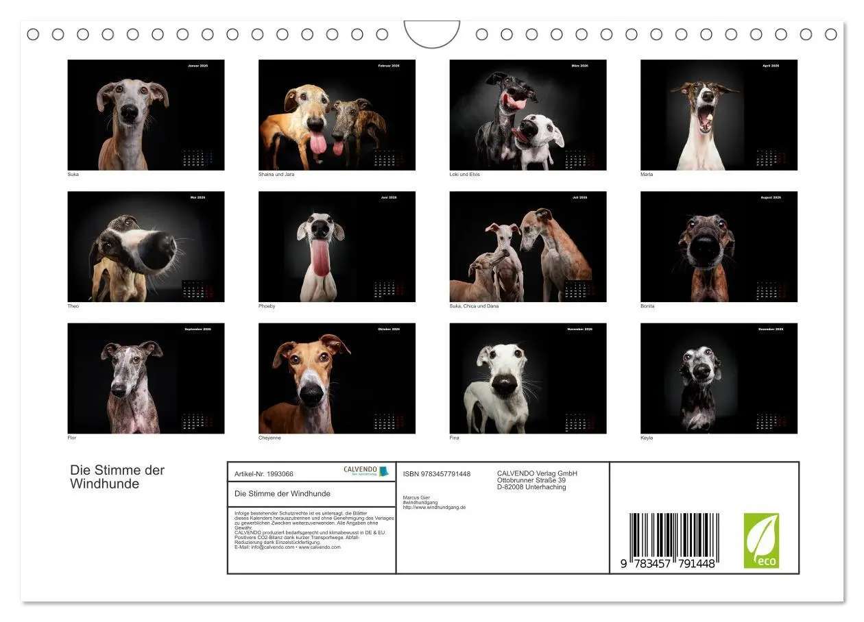 Bild: 9783457791448 | Die Stimme der Windhunde (Wandkalender 2026 DIN A4 quer), CALVENDO...