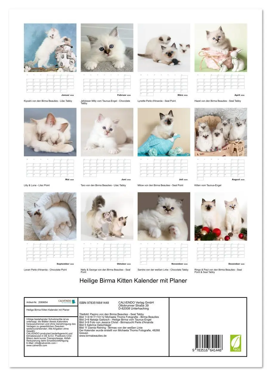 Bild: 9783516641448 | Heilige Birma Kitten Kalender mit Planer (hochwertiger Premium...