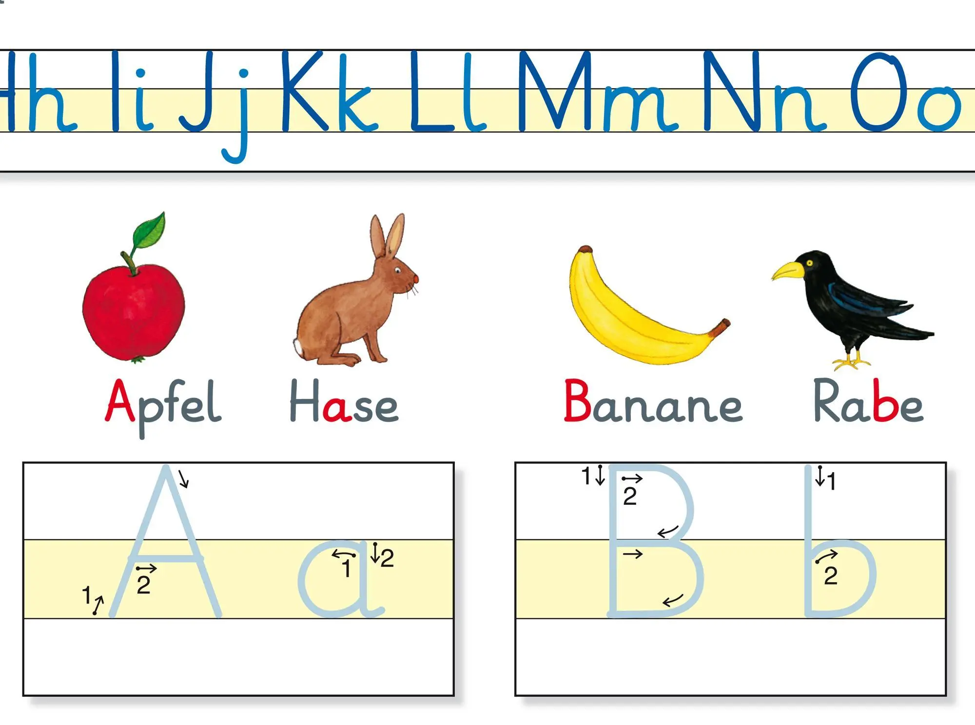 Bild: 9783940811448 | Fragenbär-Lerntafel: ABC-Tafel in der Grundschrift, 32 x 22,5 cm