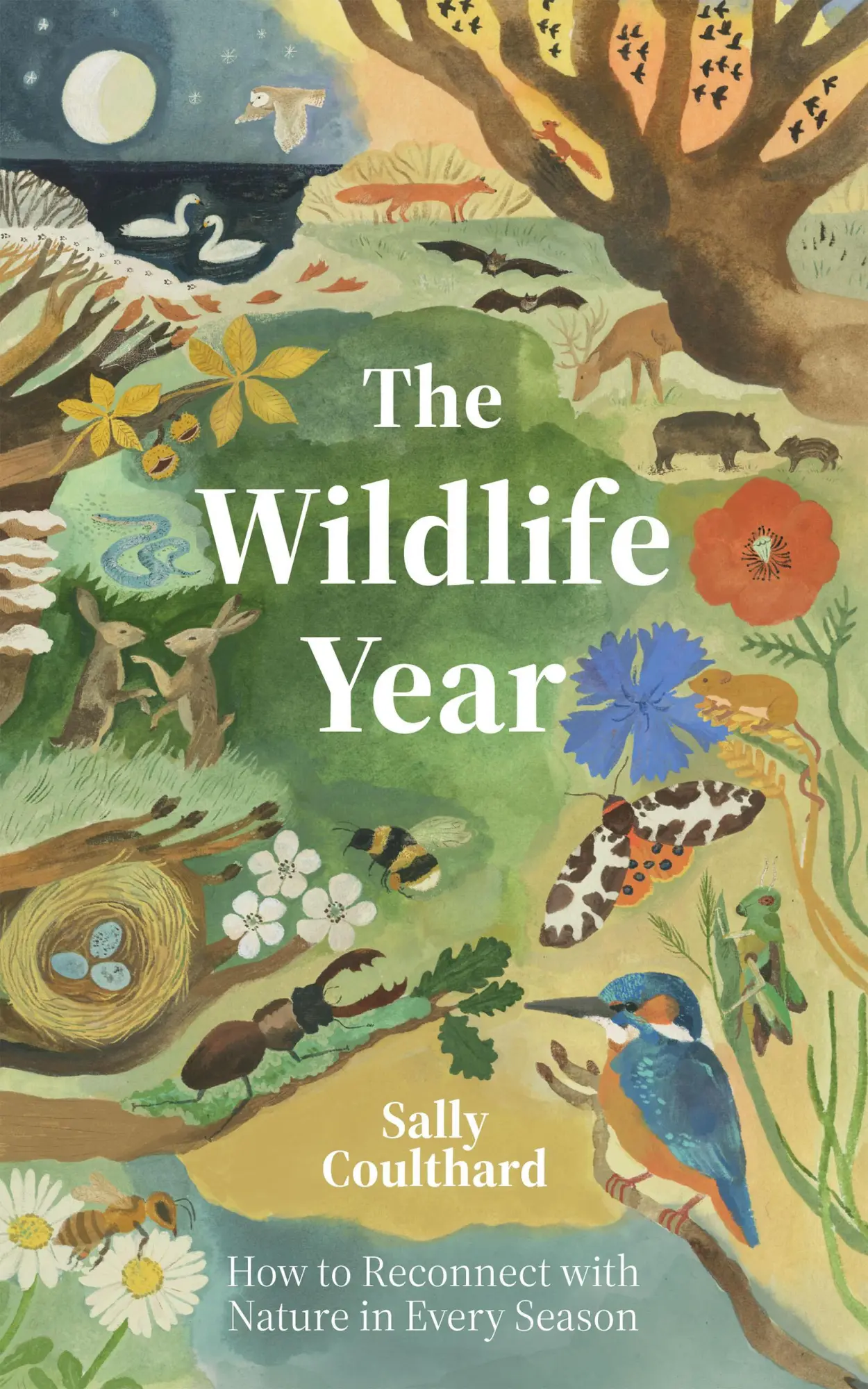 Cover: 9781837831548 | Wildlife Year | How to Reconnect with Nature Through the Seasons