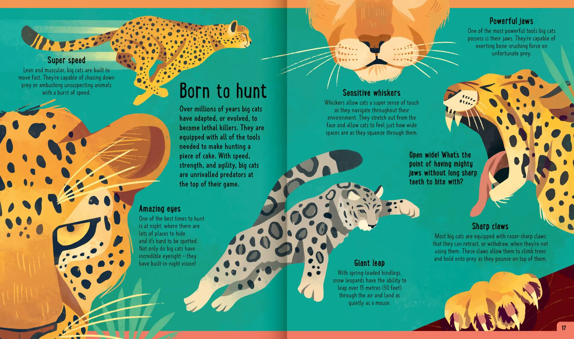 Bild: 9781838991548 | Big Cats (A Day in the Life) | Neon Squid (u. a.) | Buch | Gebunden