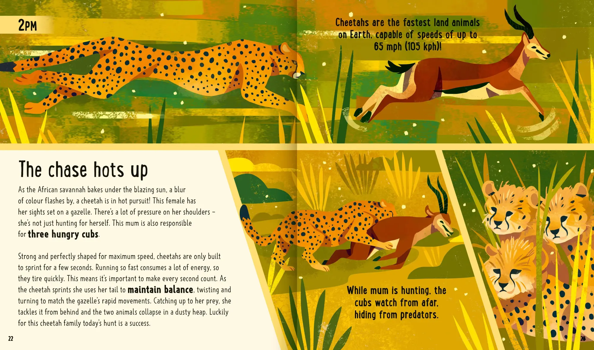 Bild: 9781838991548 | Big Cats (A Day in the Life) | Neon Squid (u. a.) | Buch | Gebunden