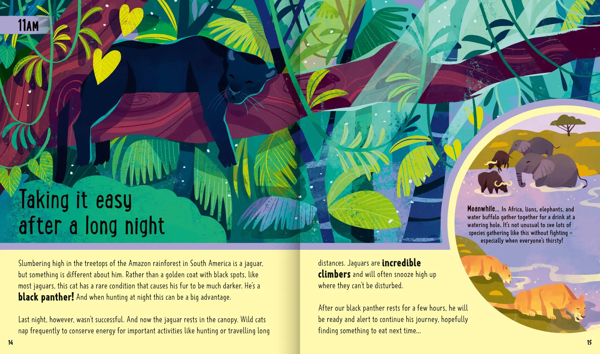 Bild: 9781838991548 | Big Cats (A Day in the Life) | Neon Squid (u. a.) | Buch | Gebunden