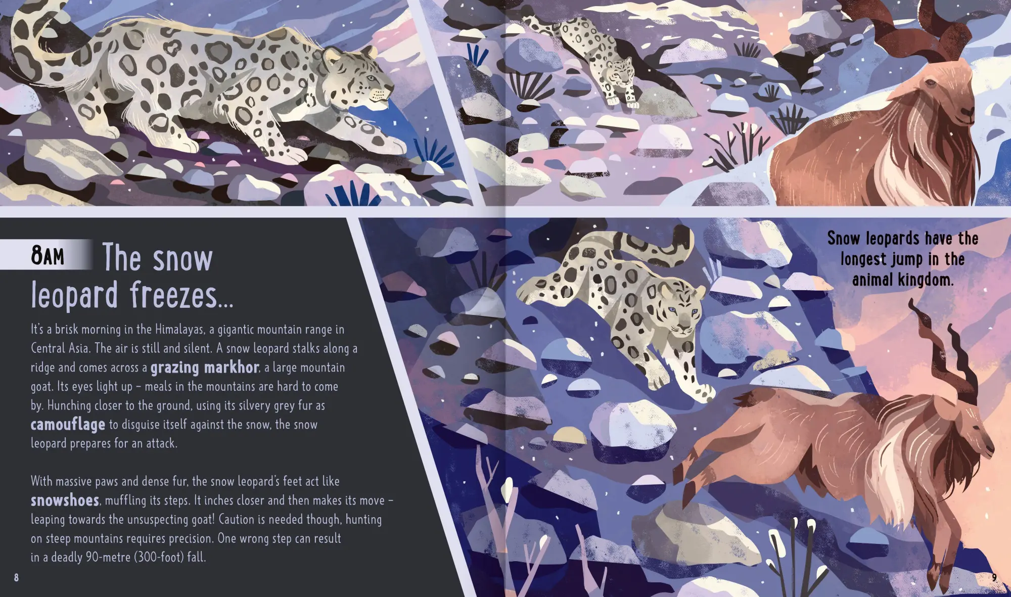 Bild: 9781838991548 | Big Cats (A Day in the Life) | Neon Squid (u. a.) | Buch | Gebunden