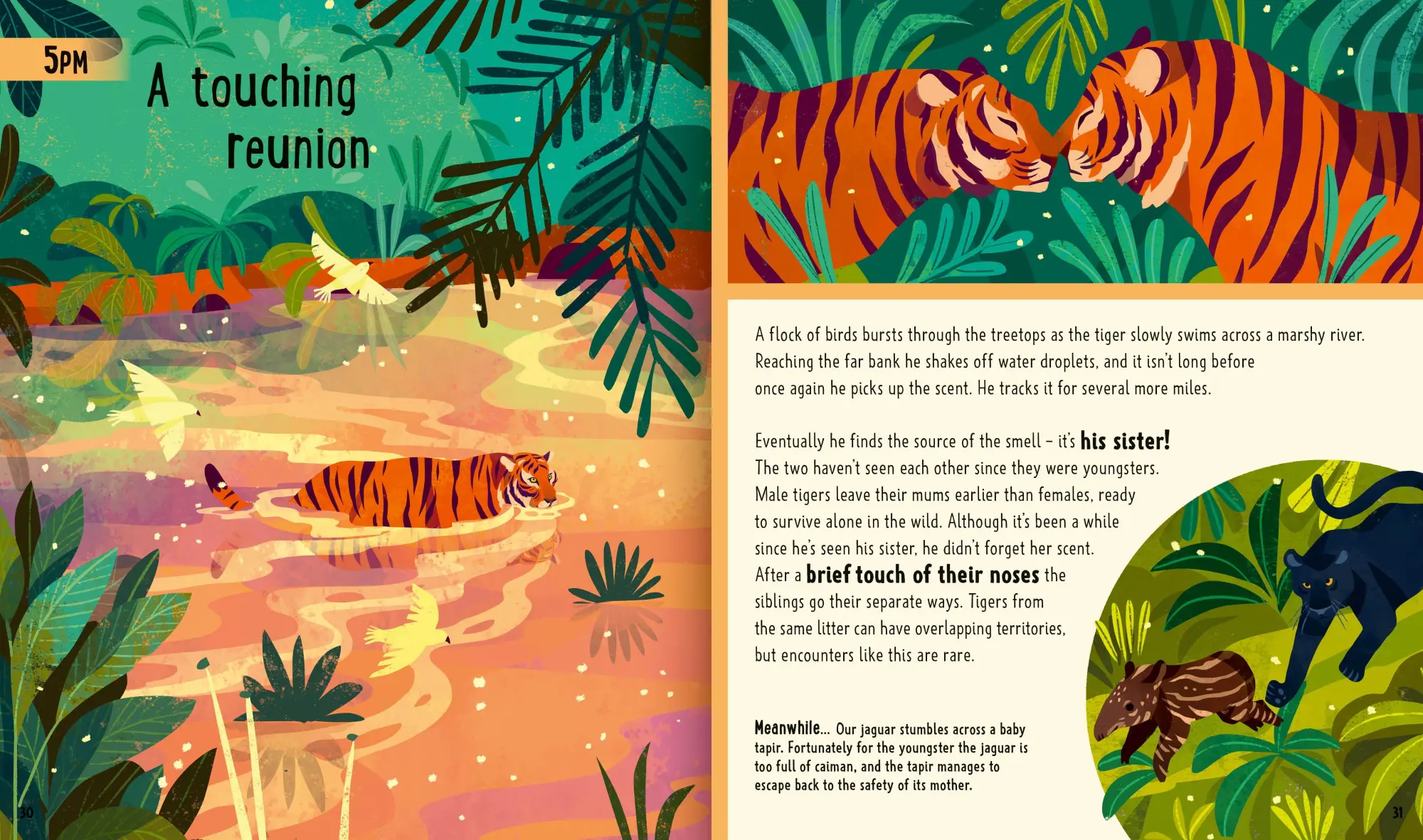 Bild: 9781838991548 | Big Cats (A Day in the Life) | Neon Squid (u. a.) | Buch | Gebunden