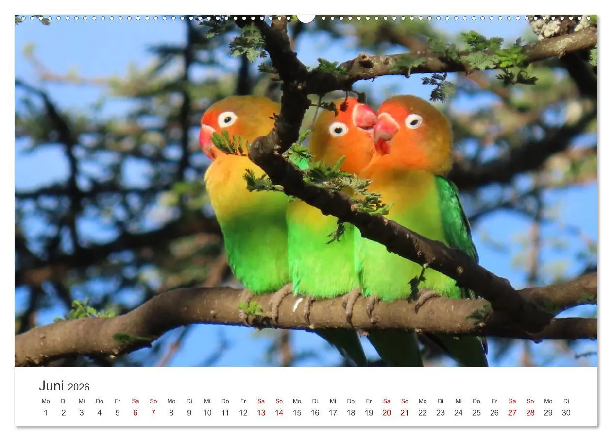 Bild: 9783457611548 | Tansania - Am Fuße des Kilimandscharo. (Wandkalender 2026 DIN A2...
