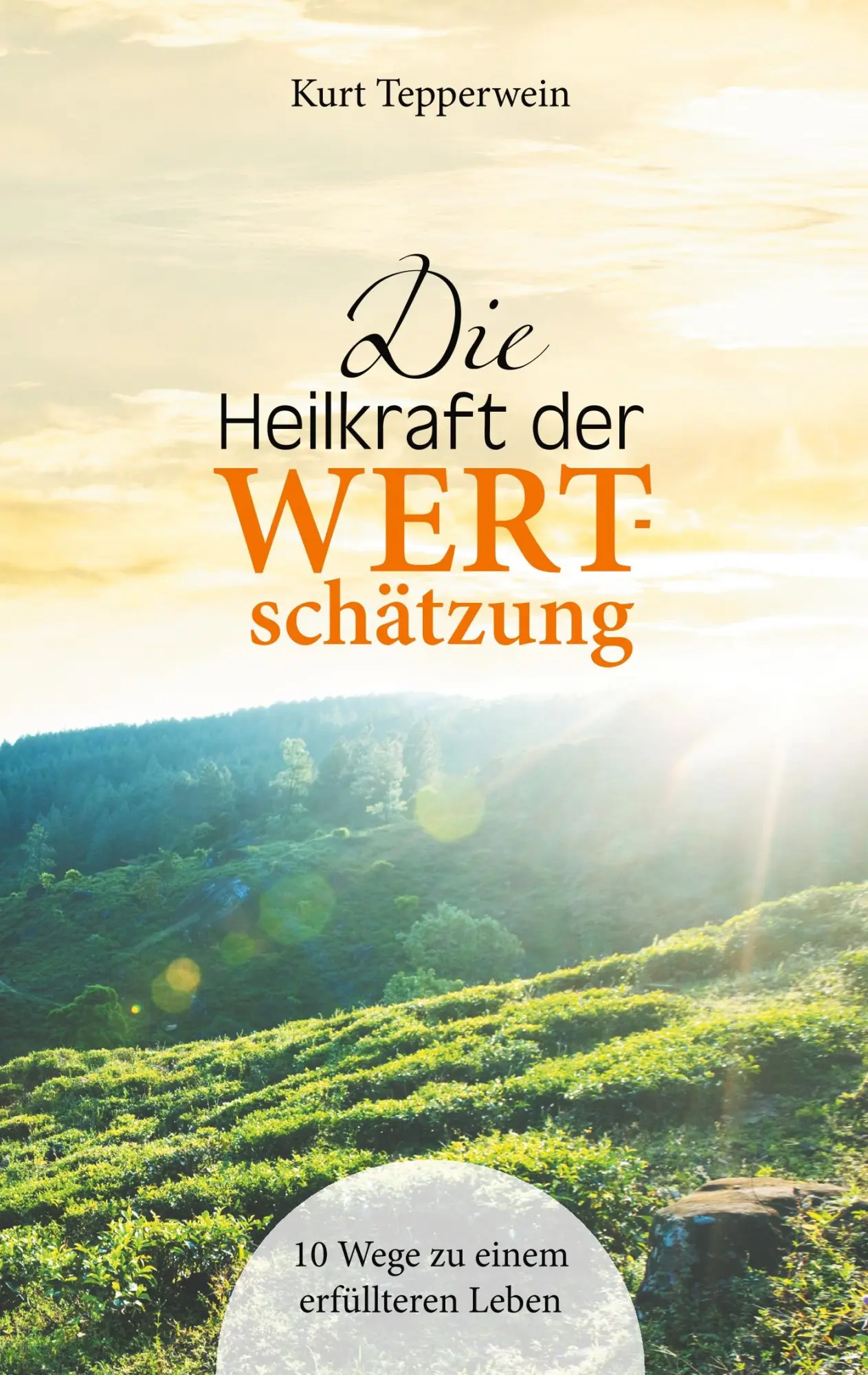 Cover: 9783748151548 | Die Heilkraft der Wertschätzung | 10 Wege zu einem erfüllteren Leben