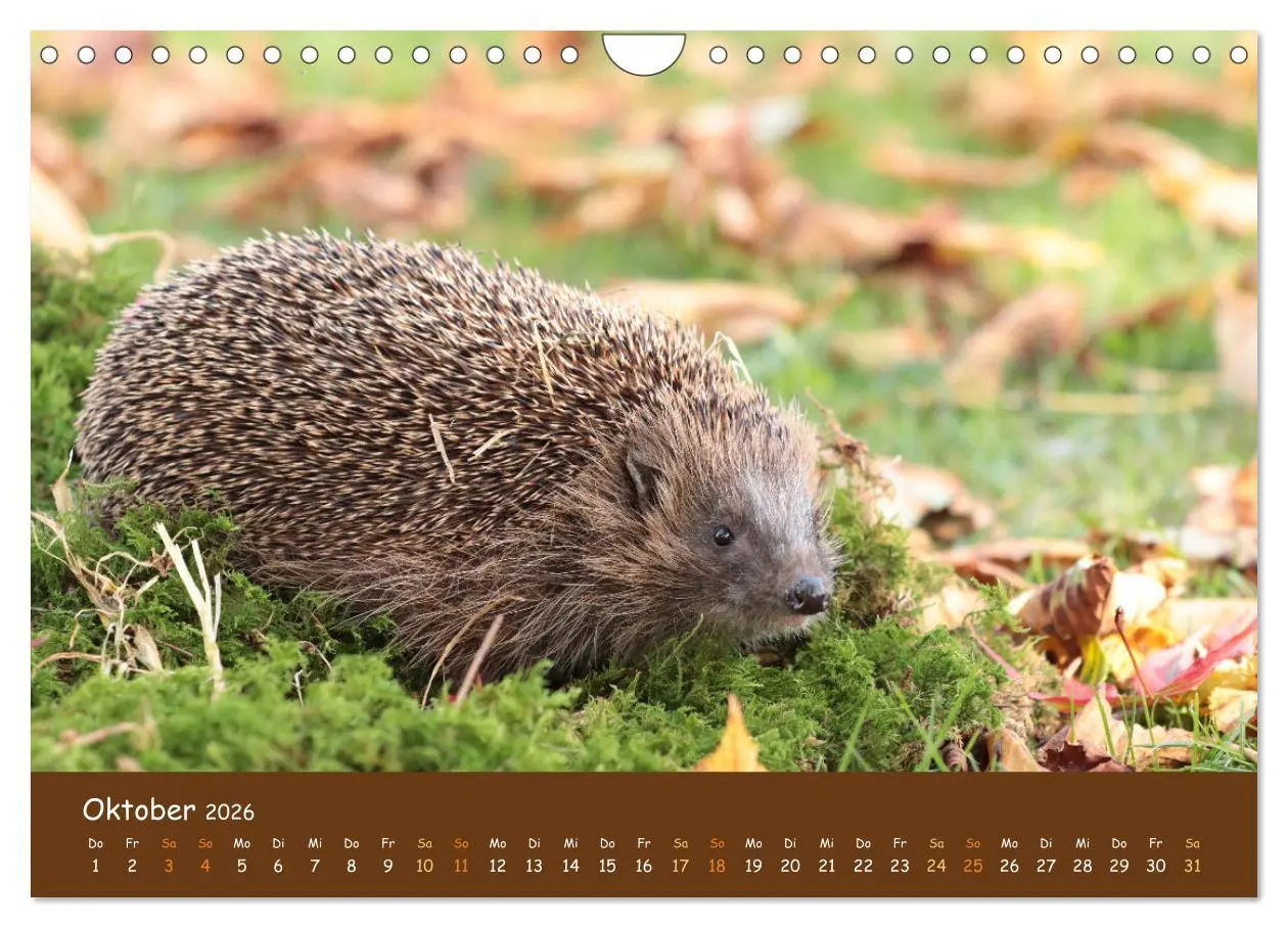 Bild: 9783457601648 | ES WIRD WILD Wildtiere von klein bis groß (Wandkalender 2026 DIN A4...