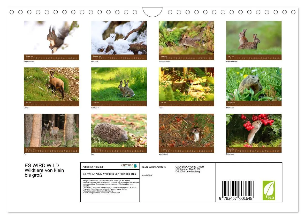 Bild: 9783457601648 | ES WIRD WILD Wildtiere von klein bis groß (Wandkalender 2026 DIN A4...