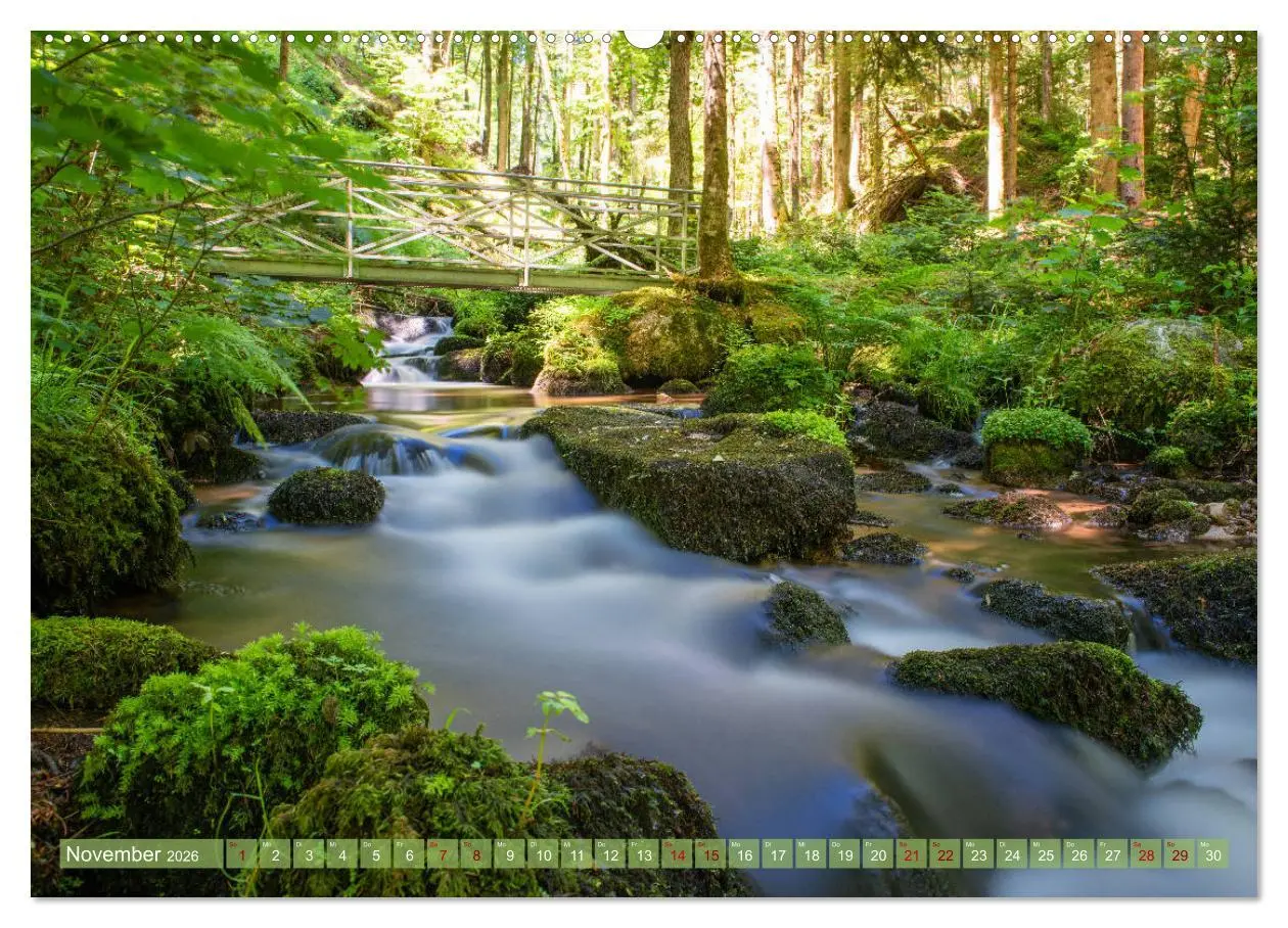 Bild: 9783457771648 | Nationalpark Schwarzwald - abwechslungsreiche Landschaften und...