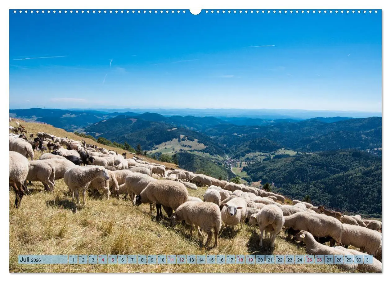 Bild: 9783457771648 | Nationalpark Schwarzwald - abwechslungsreiche Landschaften und...