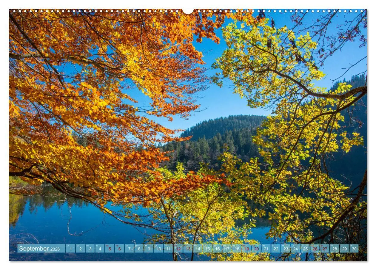 Bild: 9783457771648 | Nationalpark Schwarzwald - abwechslungsreiche Landschaften und...